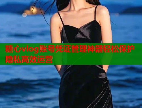 糖心vlog账号凭证管理神器轻松保护隐私高效运营